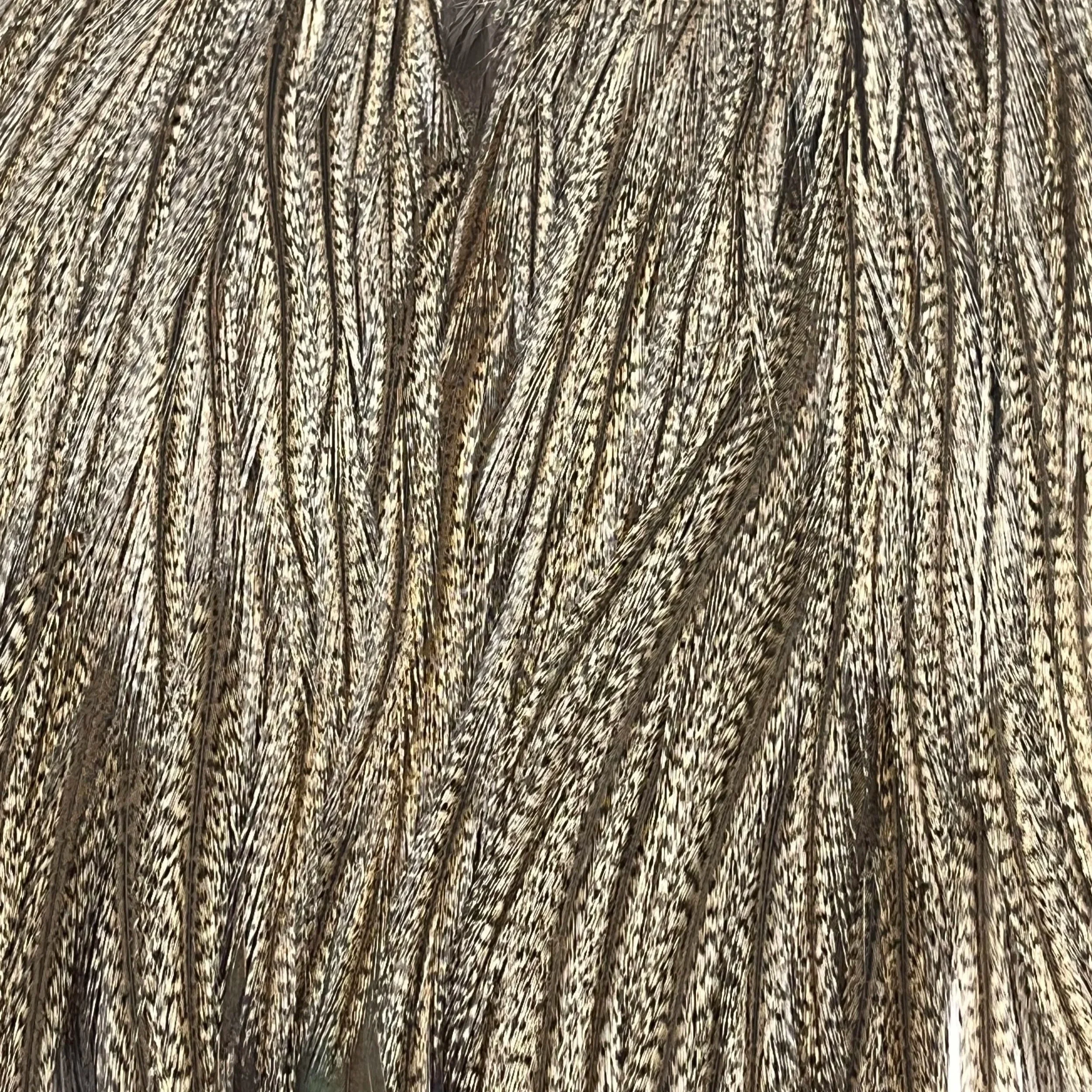 Whiting Coq de Leon Bronze Grade Full Saddle | First Drift Fly Co